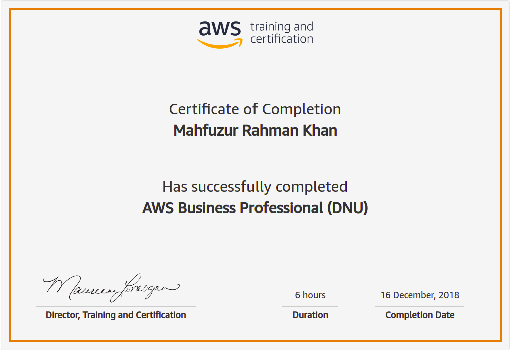 AWS Bussiness Professional (Digital)