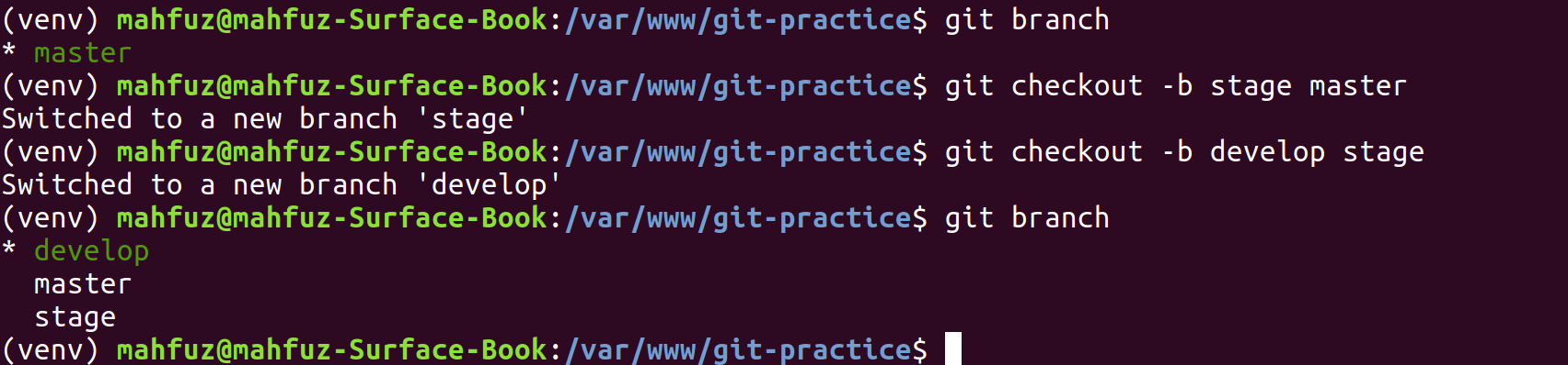 GIT New Branches